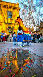 Foto guanyadora del concurs 2026